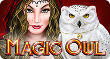 Magic owl slot free play